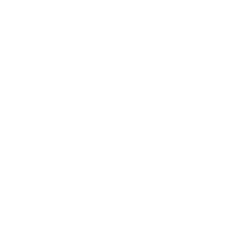 Icon Shield
