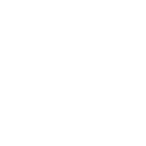 Icon Test