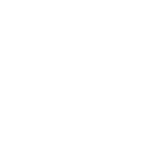 Icon Brain Activity White