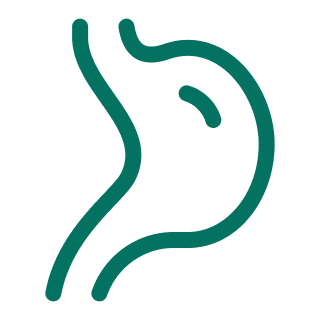 Icon Stomach