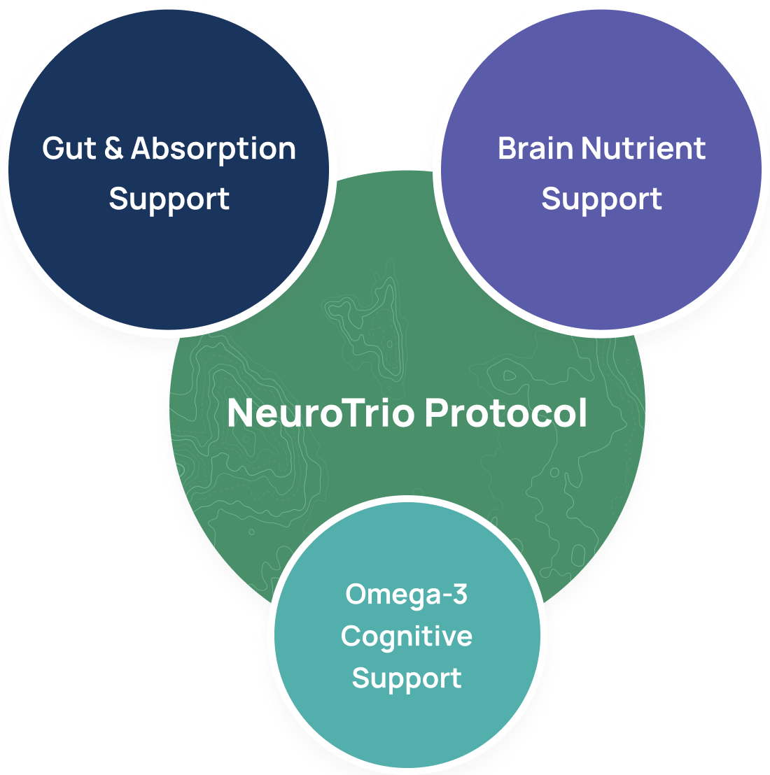 NeuroTrio Protocol For Cognitive Support
