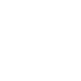 Section_Time_line-1