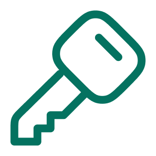 icon key